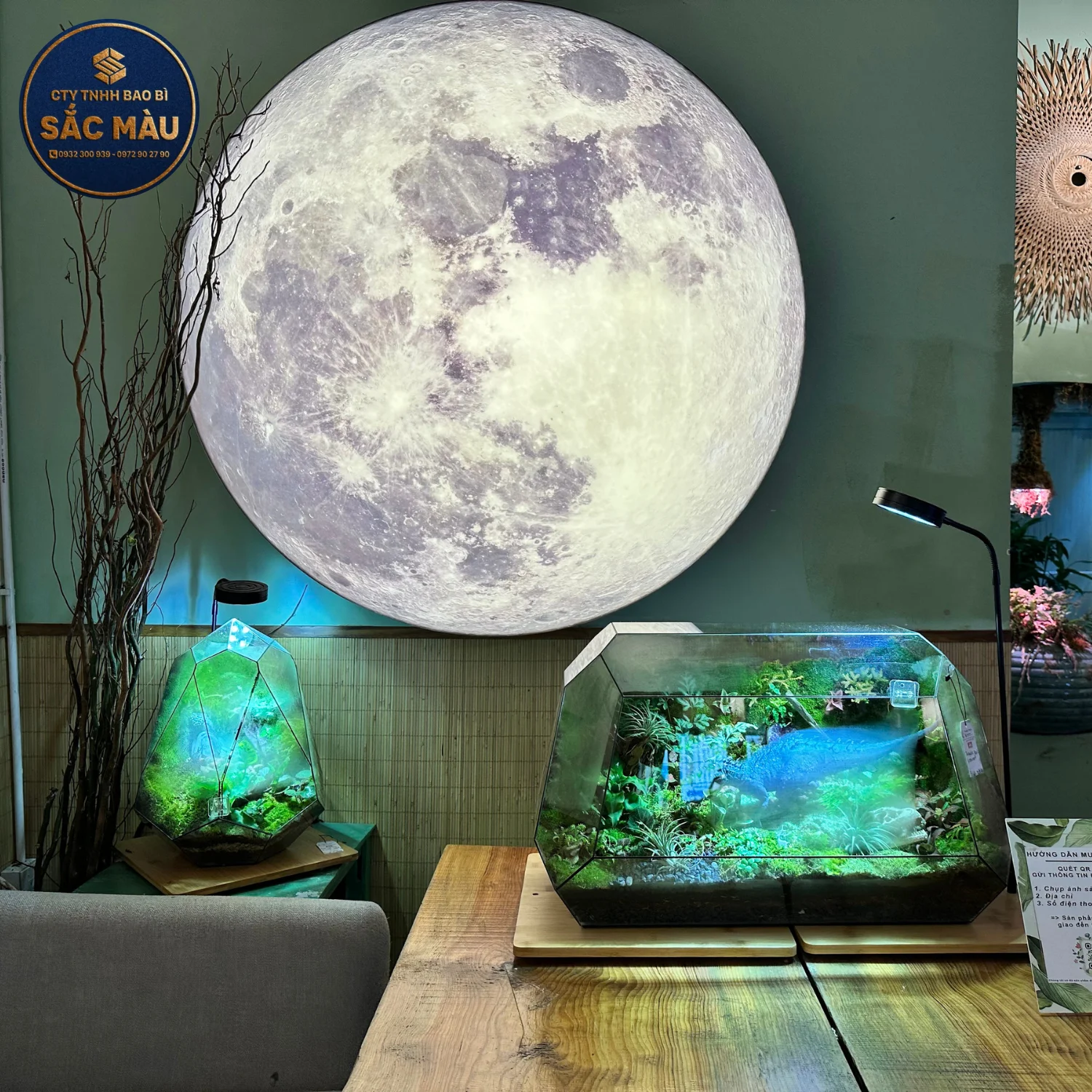 Top 10+ quán cafe chụp hình đẹp ở Cần Thơ hot nhất 2025