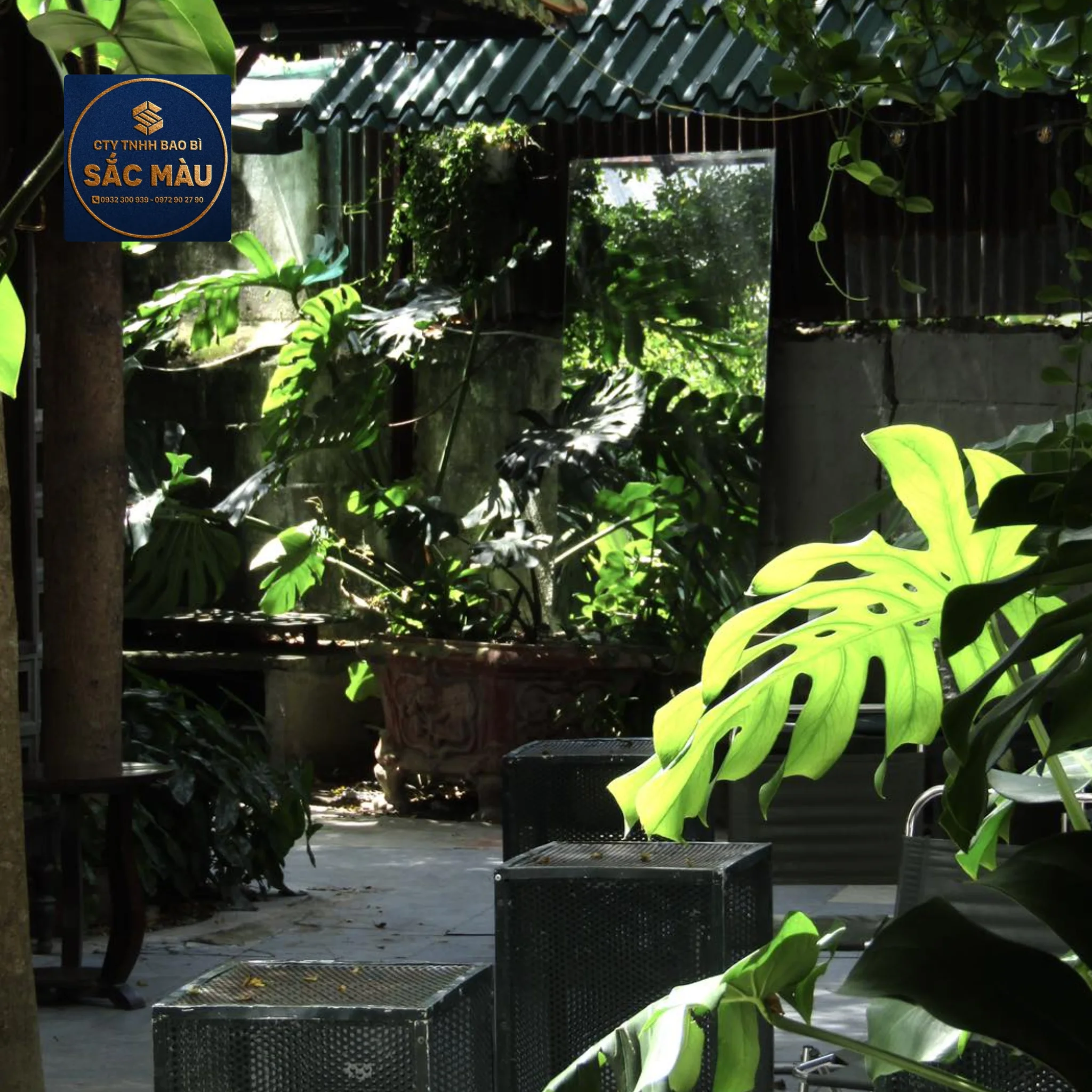 Top 10 cafe sân vườn Cần Thơ không gian rộng để check-in