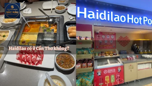 Cần Thơ có Haidilao không? Top 3 nhà hàng lẩu ngon ở Cần Thơ