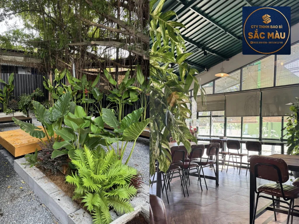 Tổng hợp các quán cafe đường 3/2 Cần Thơ siêu hot, view đẹp