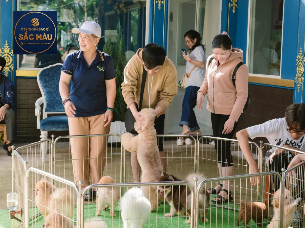 Tổng hợp các quán cafe thú cưng chó mèo siêu hot tại Cần Thơ