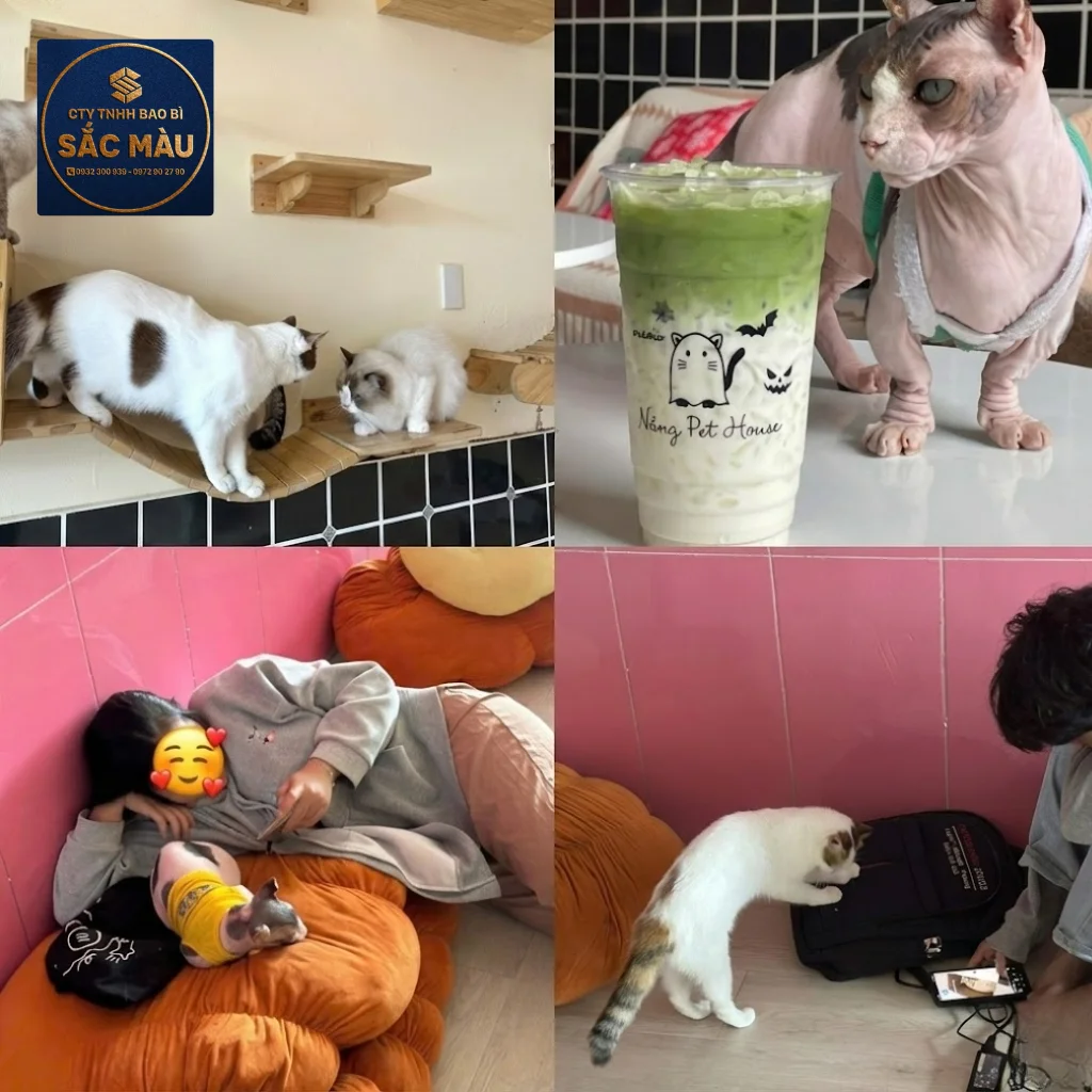 Tổng hợp các quán cafe thú cưng chó mèo siêu hot tại Cần Thơ