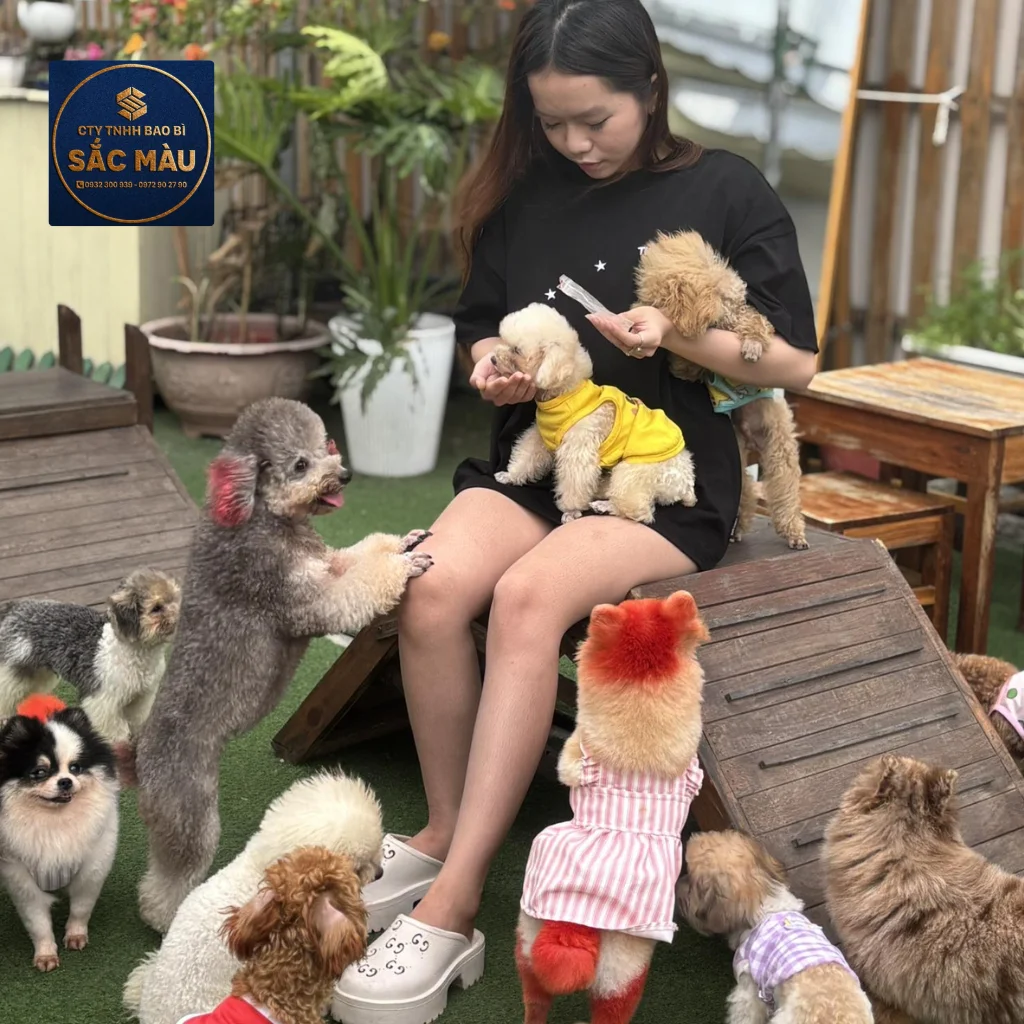 Tổng hợp các quán cafe thú cưng chó mèo siêu hot tại Cần Thơ