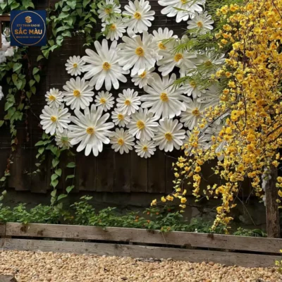 Lam Cafe Cần Thơ – Nơi bình yên giữa nhịp sống ồn ào