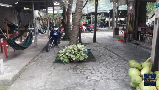 Điểm danh 5 quán cafe võng Cần Thơ mát mẻ, chill hết nấc